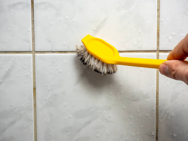 Professional Mold Removal in St Francis, WI