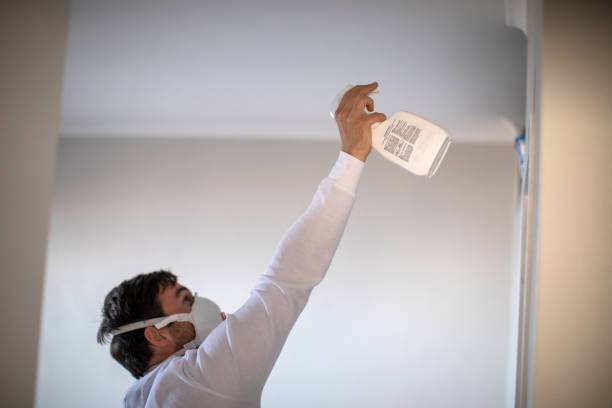 Best Mold Remediation Experts  in St Francis, WI