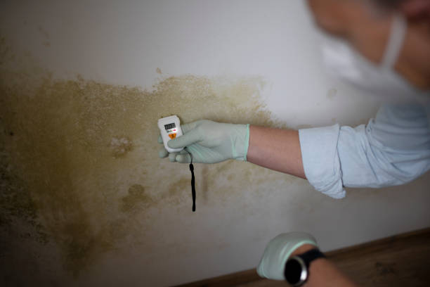 Best Water Damage Restoration  in St Francis, WI