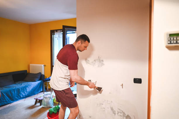 Attic Mold Removal in St Francis, WI